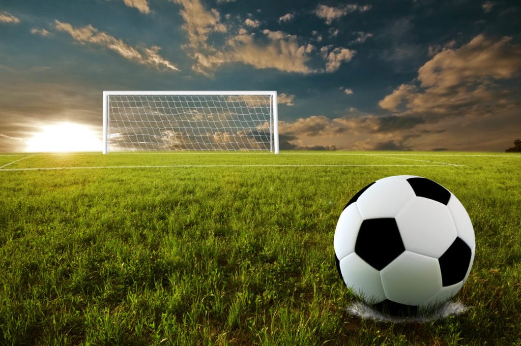 Adult Coed Soccer League